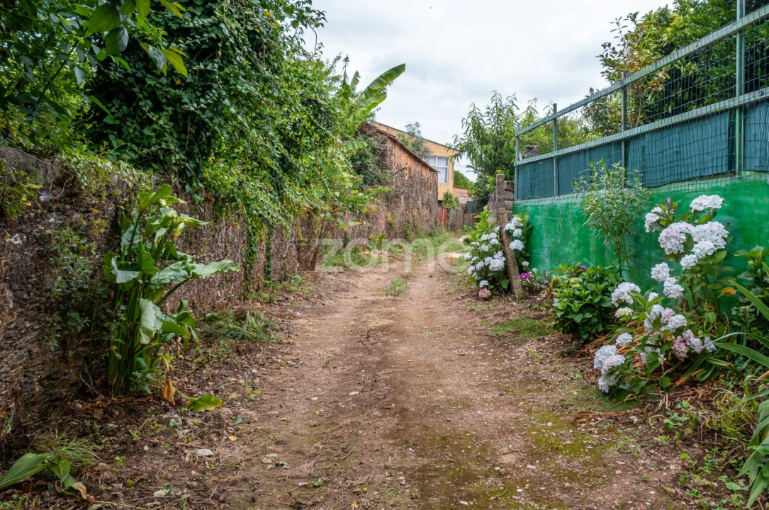 Terreno para Venda em Albergaria-A-Velha e Valmaior Foto 11
