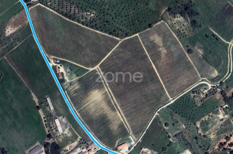 Moradia T4 para Venda em Brogueira, Parceiros de Igreja e Alcorochel Foto 8