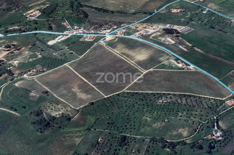 Moradia T4 para Venda em Brogueira, Parceiros de Igreja e Alcorochel Foto 10