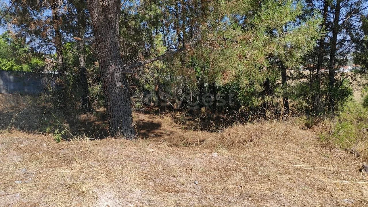 Terreno para Venda em Meia Via Foto 1