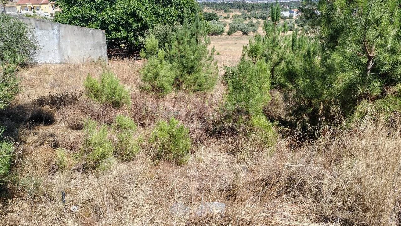Terreno para Venda em Meia Via Foto 8