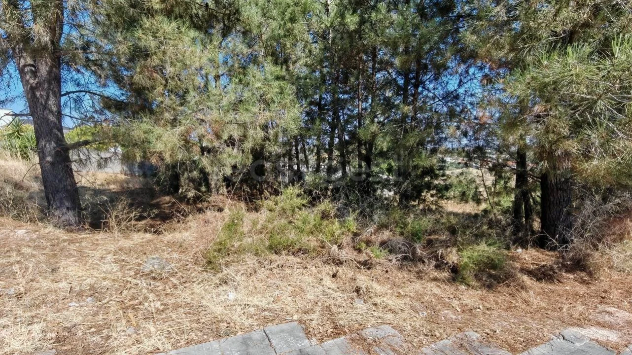 Terreno para Venda em Meia Via Foto 9