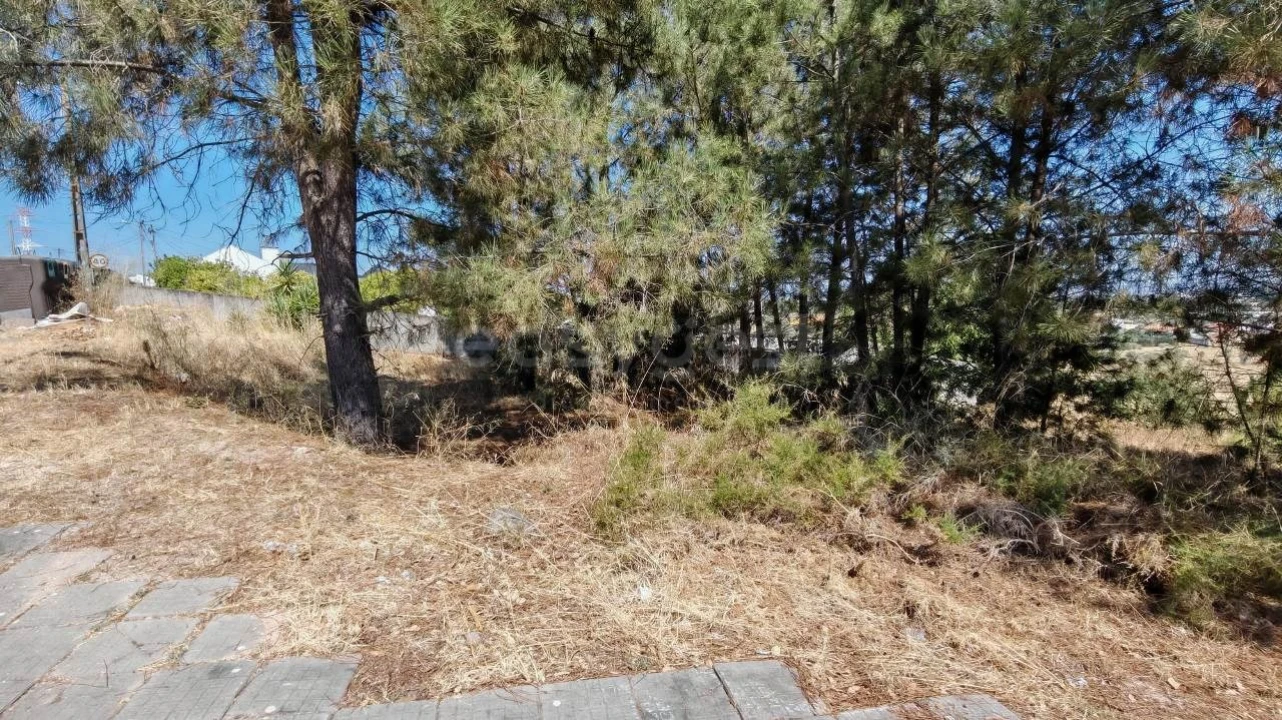 Terreno para Venda em Meia Via Foto 10