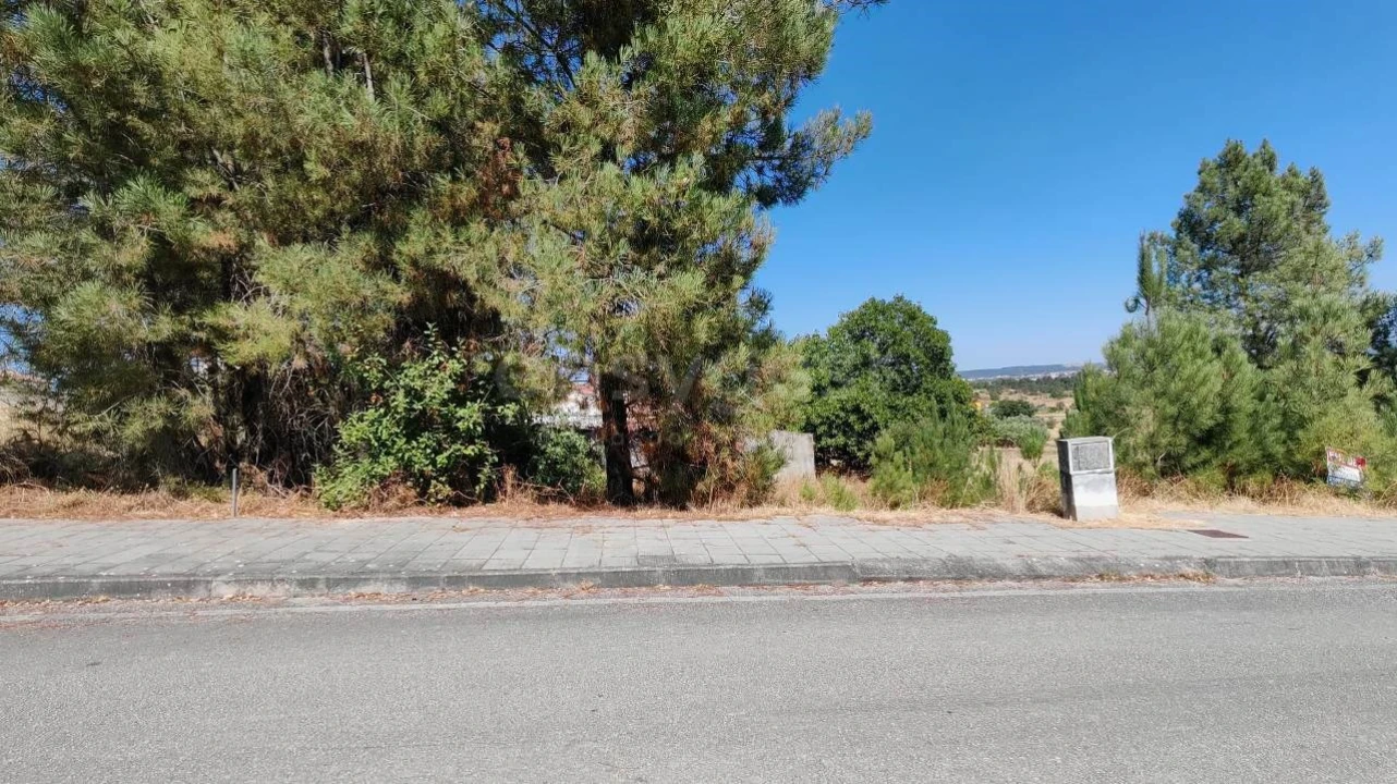 Terreno para Venda em Meia Via Foto 11