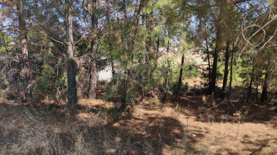 Terreno para Venda em Meia Via Foto 5