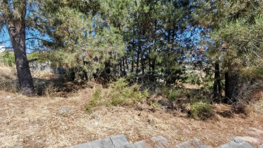 Terreno para Venda em Meia Via Foto 9