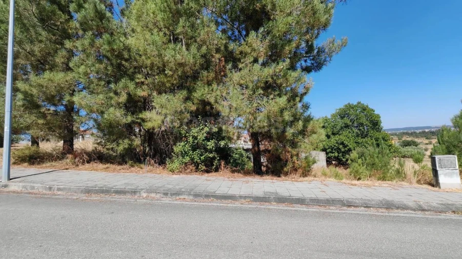 Terreno para Venda em Meia Via Foto 12