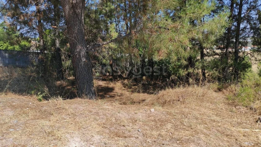 Terreno para Venda em Meia Via