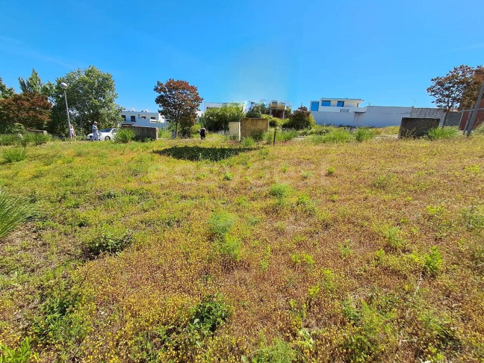 Terreno para Venda em Torres Novas (Santa Maria, Salvador e Santiago) Foto 3