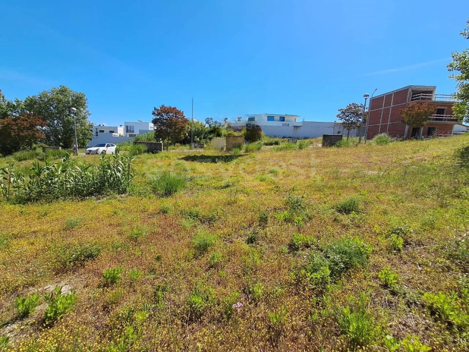 Terreno para Venda em Torres Novas (Santa Maria, Salvador e Santiago) Foto 4