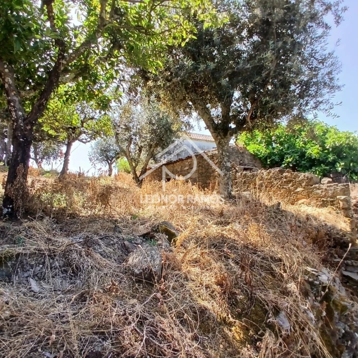 Moradia T3 para Venda em Proença-A-Nova e Peral Foto 17