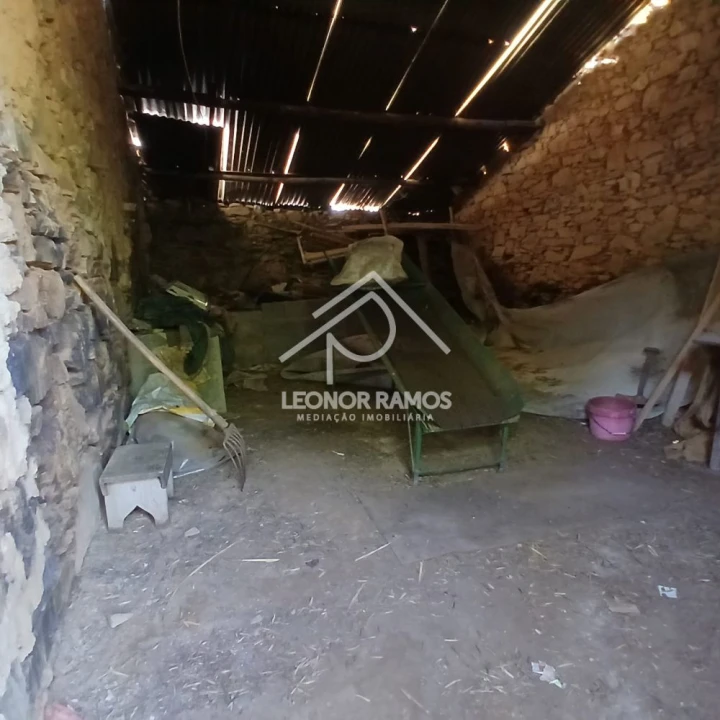 Moradia T3 para Venda em Proença-A-Nova e Peral Foto 11