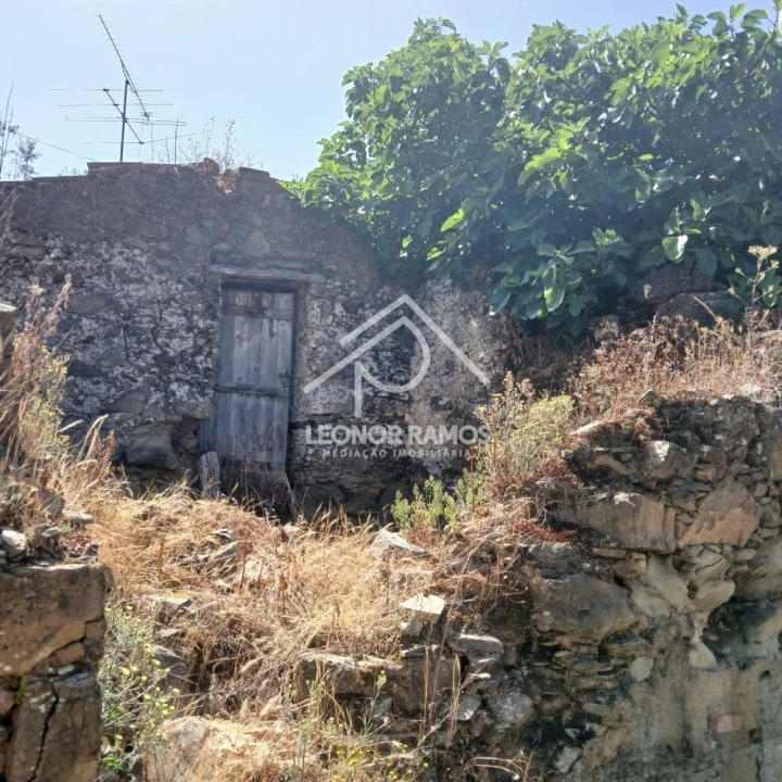 Moradia T3 para Venda em Proença-A-Nova e Peral Foto 16