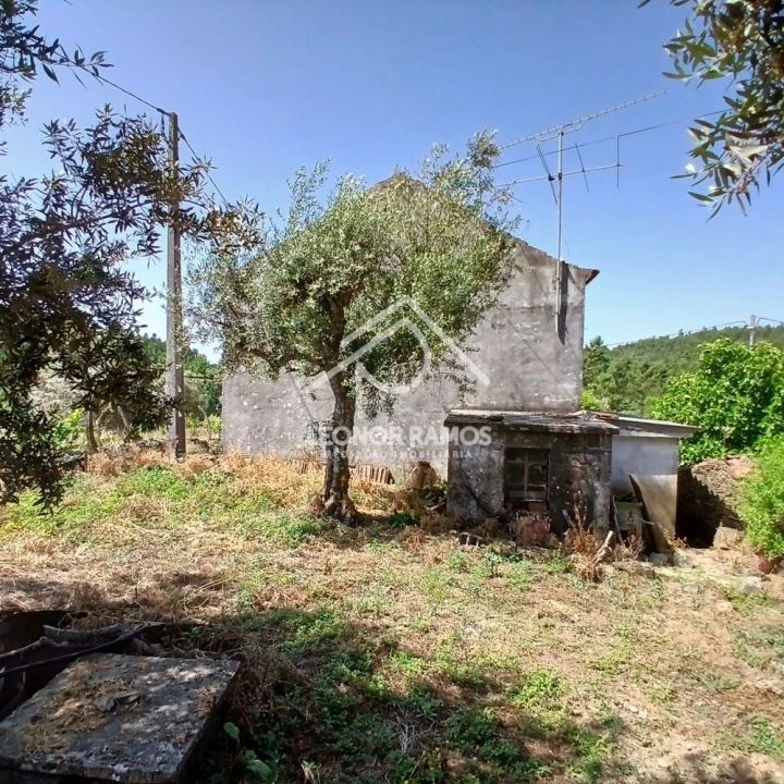 Moradia T3 para Venda em Proença-A-Nova e Peral Foto 3