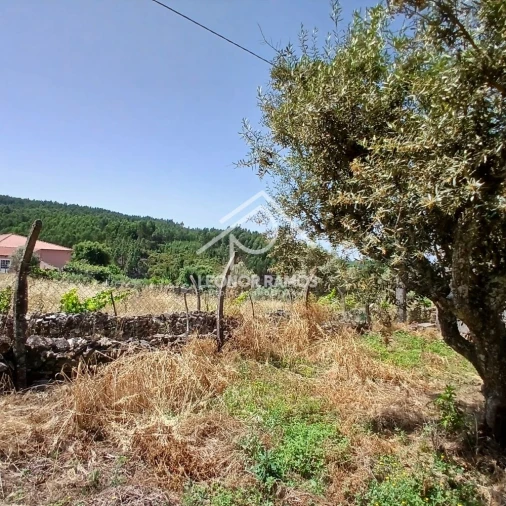 Moradia T3 para Venda em Proença-A-Nova e Peral Foto 2