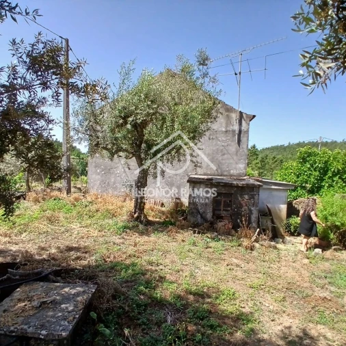 Moradia T3 para Venda em Proença-A-Nova e Peral Foto 4