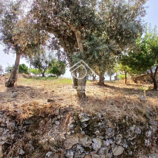 Moradia T3 para Venda em Proença-A-Nova e Peral Foto 18