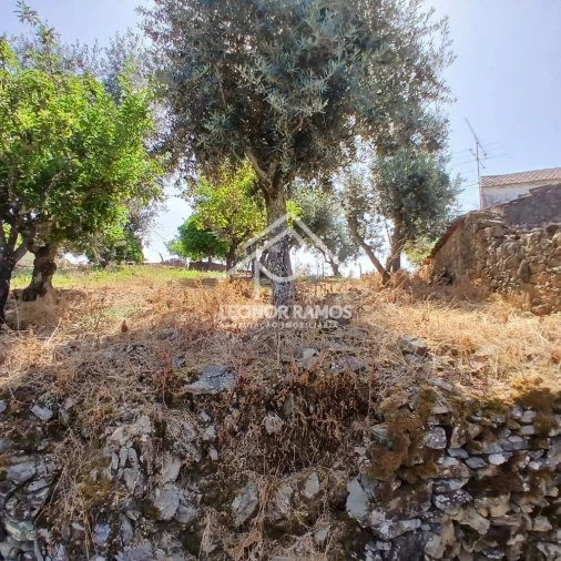 Moradia T3 para Venda em Proença-A-Nova e Peral Foto 19