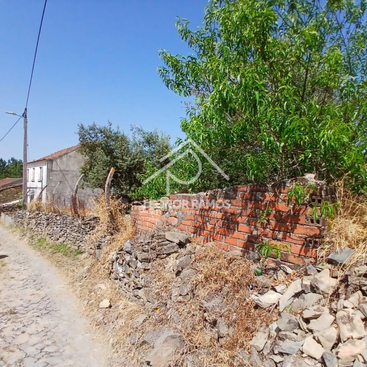 Moradia T3 para Venda em Proença-A-Nova e Peral Foto 47