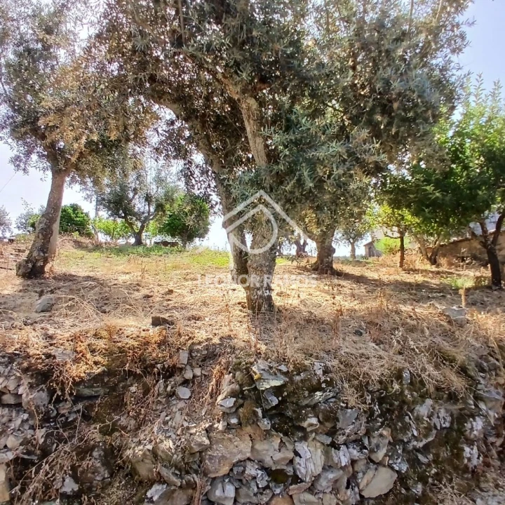 Moradia T3 para Venda em Proença-A-Nova e Peral Foto 18