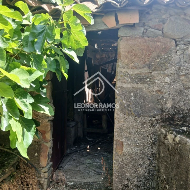 Moradia T3 para Venda em Proença-A-Nova e Peral Foto 8