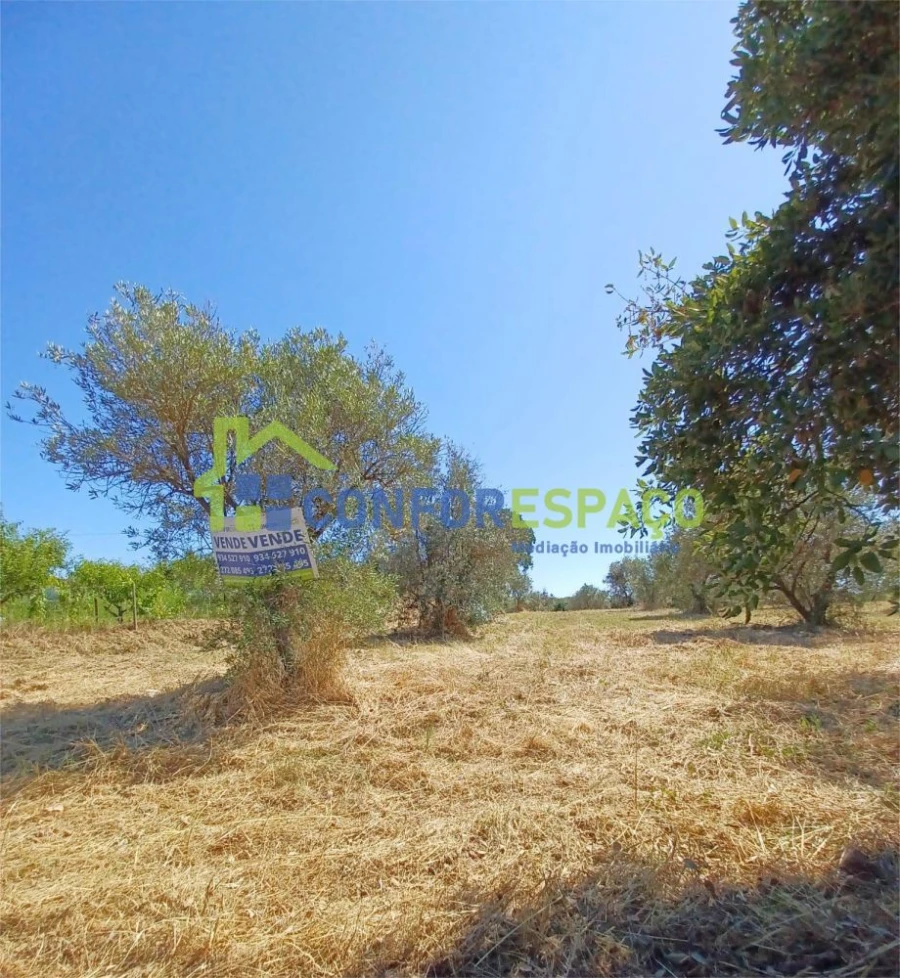 Terreno para Venda em Ladoeiro Foto 4