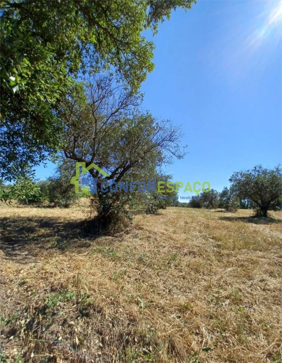 Terreno para Venda em Ladoeiro Foto 3