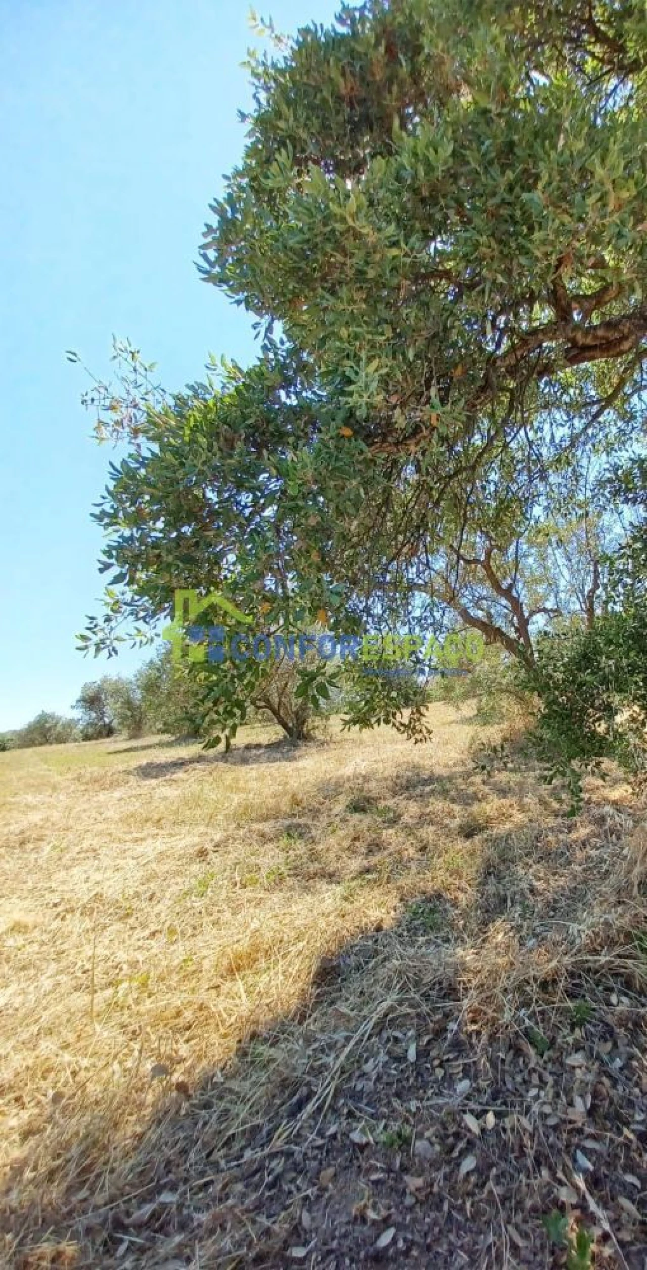 Terreno para Venda em Ladoeiro Foto 2