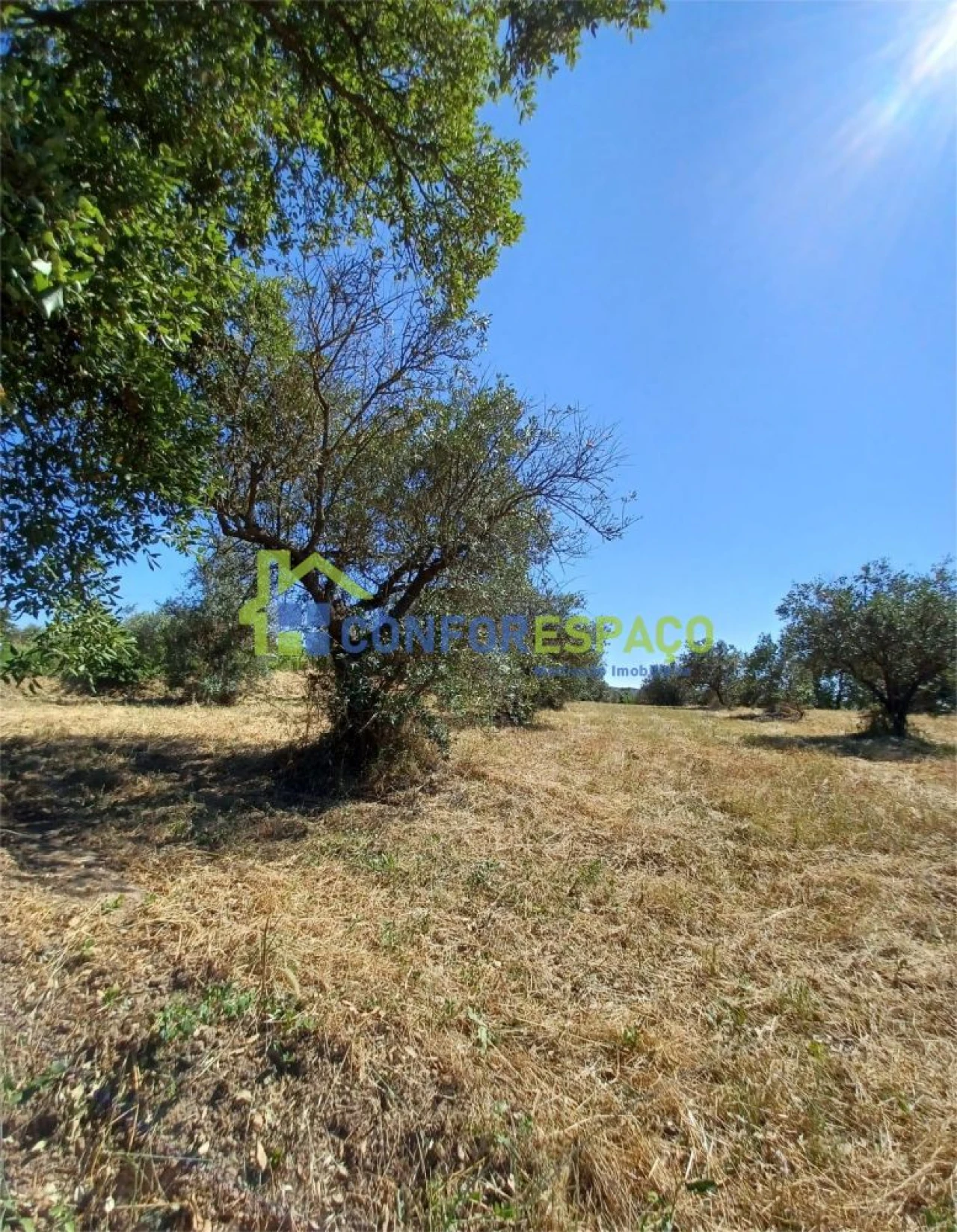 Terreno para Venda em Ladoeiro Foto 3