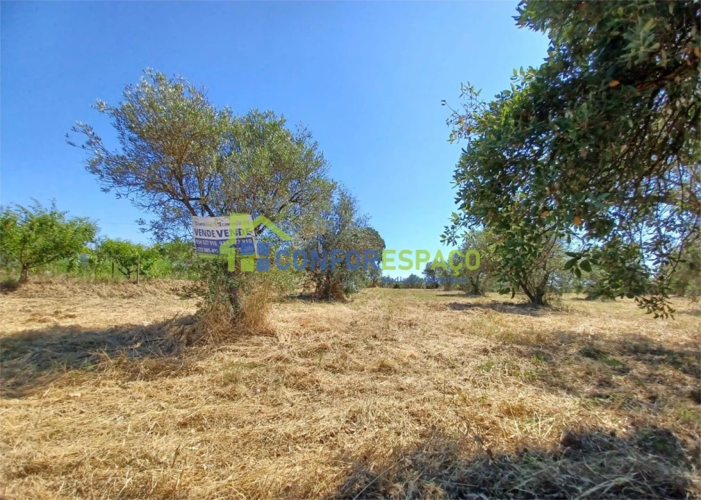 Terreno para Venda em Ladoeiro Foto 1