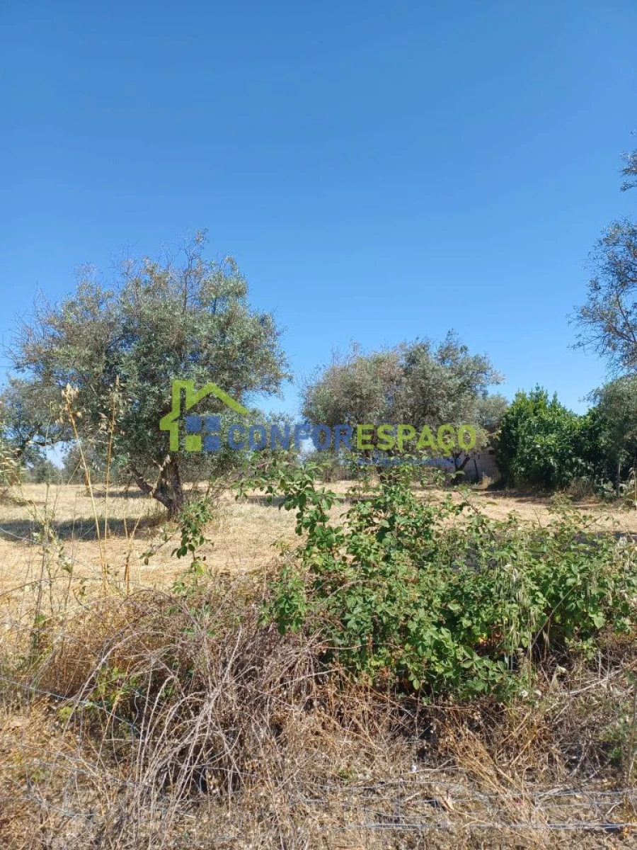 Terreno para Venda em Ladoeiro Foto 2
