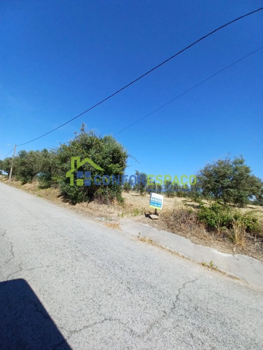 Terreno para Venda em Ladoeiro Foto 6