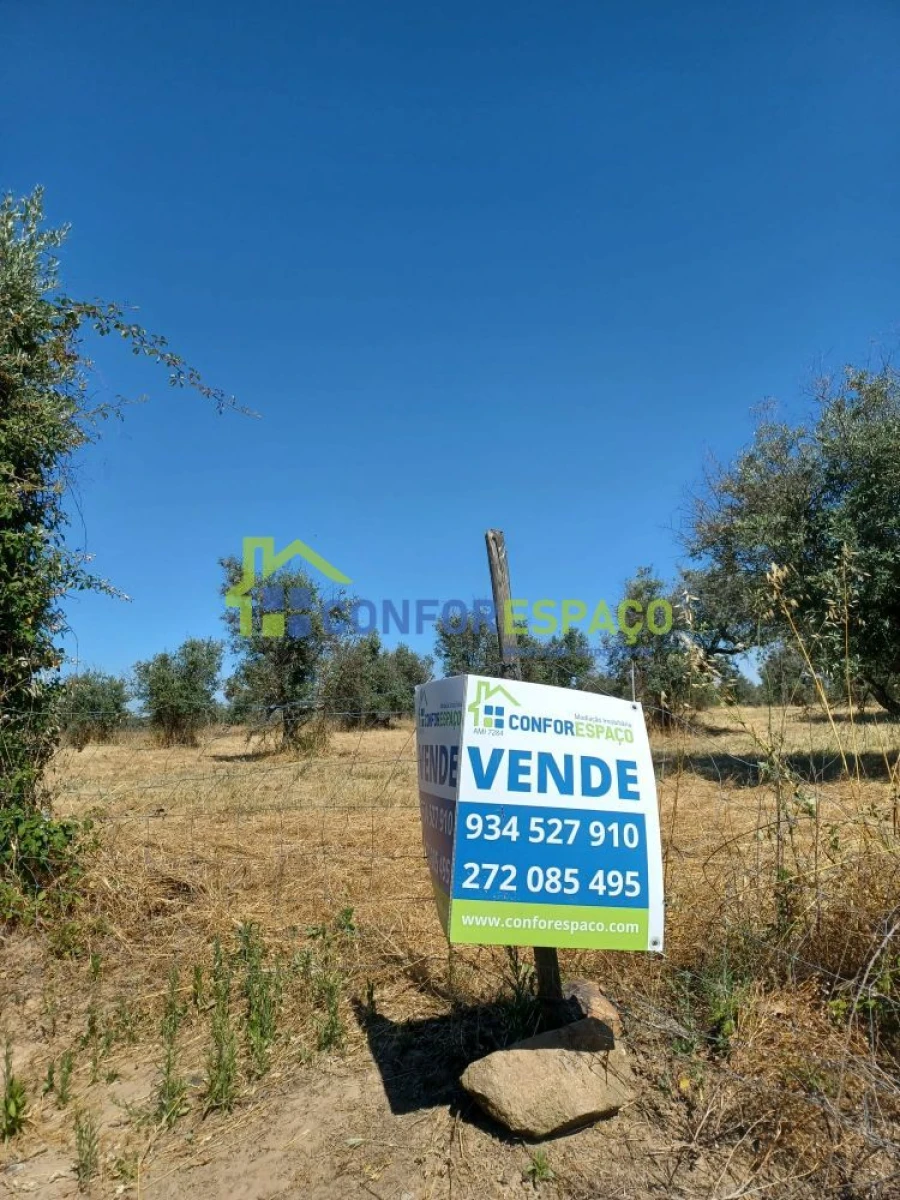 Terreno para Venda em Ladoeiro