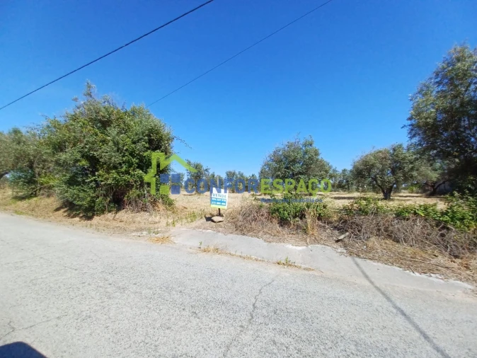 Terreno para Venda em Ladoeiro Foto 7