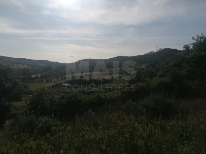 Terreno para Venda em Santo Quintino Foto 3