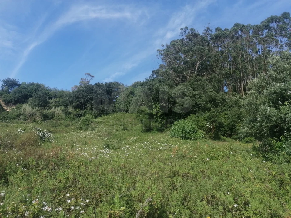 Terreno para Venda em Santo Quintino Foto 6
