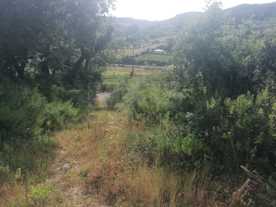 Terreno para Venda em Santo Quintino Foto 10