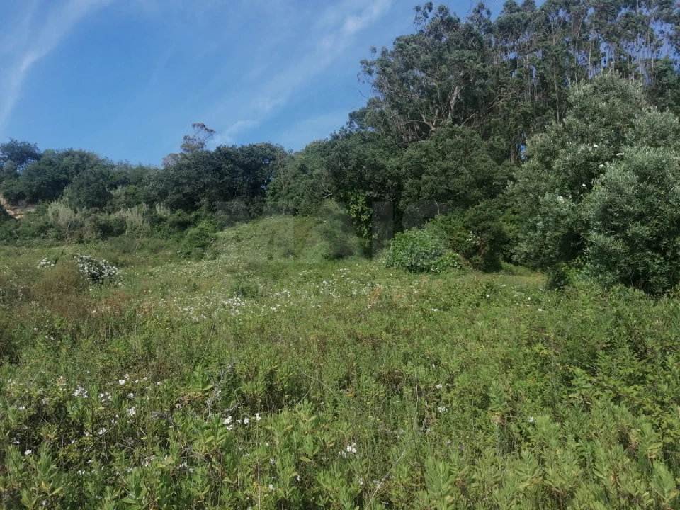 Terreno para Venda em Santo Quintino Foto 9