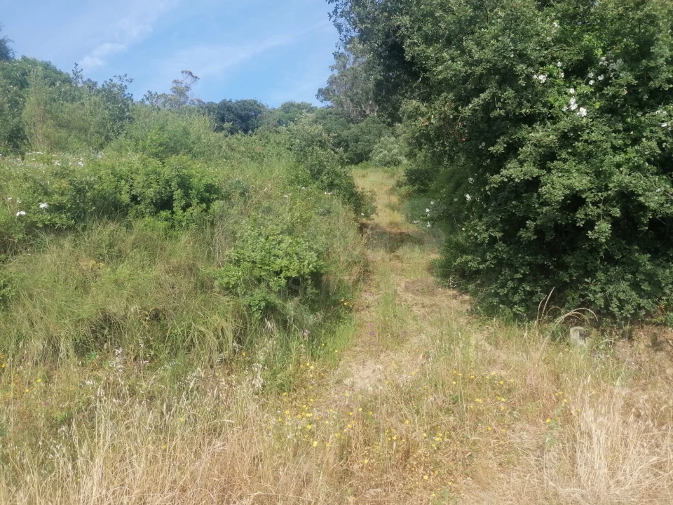 Terreno para Venda em Santo Quintino Foto 12