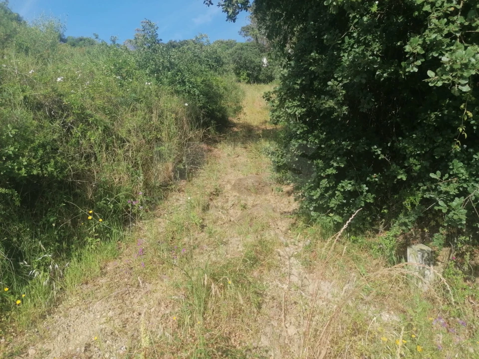 Terreno para Venda em Santo Quintino Foto 2