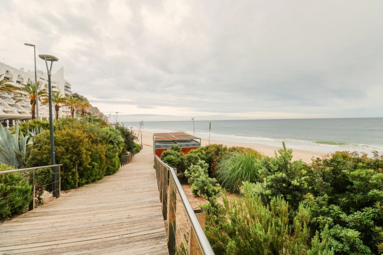 Negócio para Venda em Sesimbra (Santiago) Foto 16