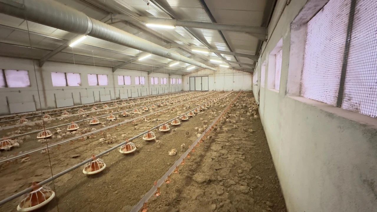 Negócio para Venda em Ferreira de Aves Foto 11