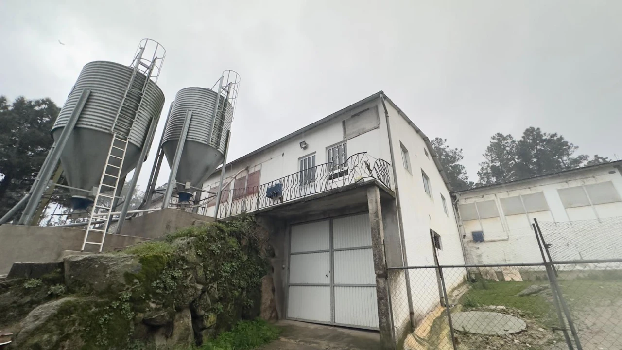 Negócio para Venda em Ferreira de Aves Foto 14