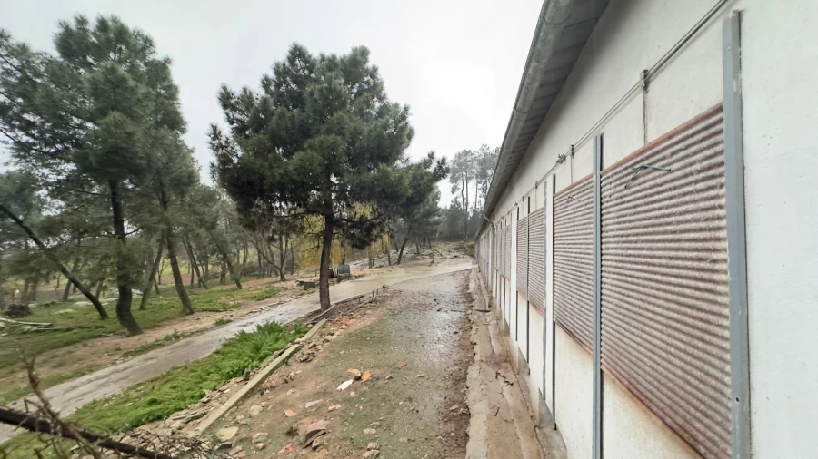 Negócio para Venda em Ferreira de Aves Foto 12
