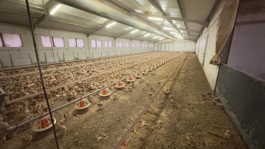 Negócio para Venda em Ferreira de Aves Foto 7