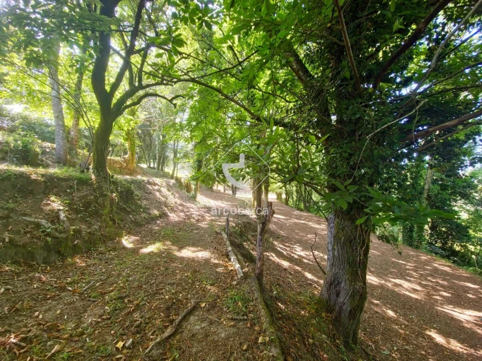 Quinta T3 para Venda em Sabadim Foto 42