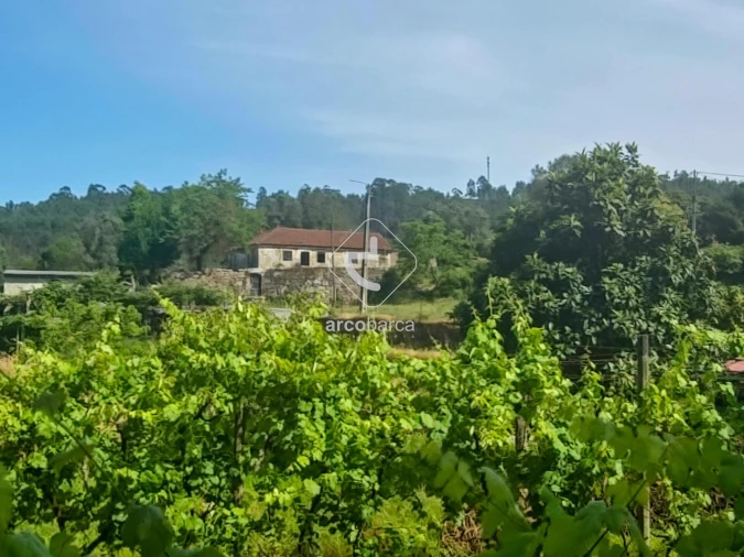 Quinta T3 para Venda em Sabadim Foto 47