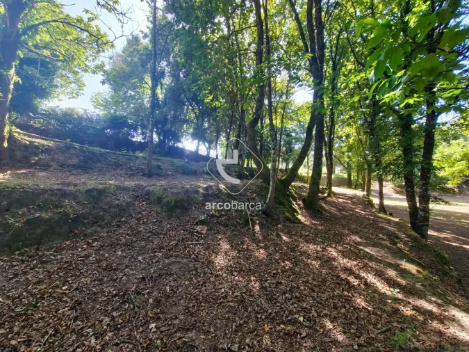 Quinta T3 para Venda em Sabadim Foto 43