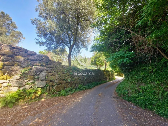 Quinta T3 para Venda em Sabadim Foto 11