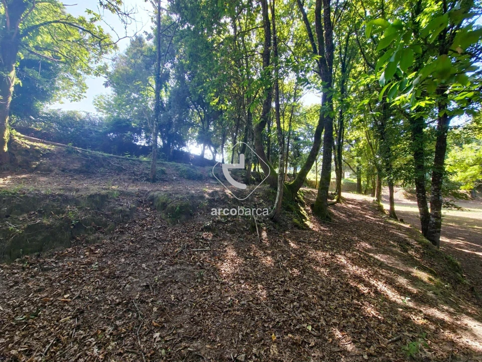 Quinta T3 para Venda em Sabadim Foto 43